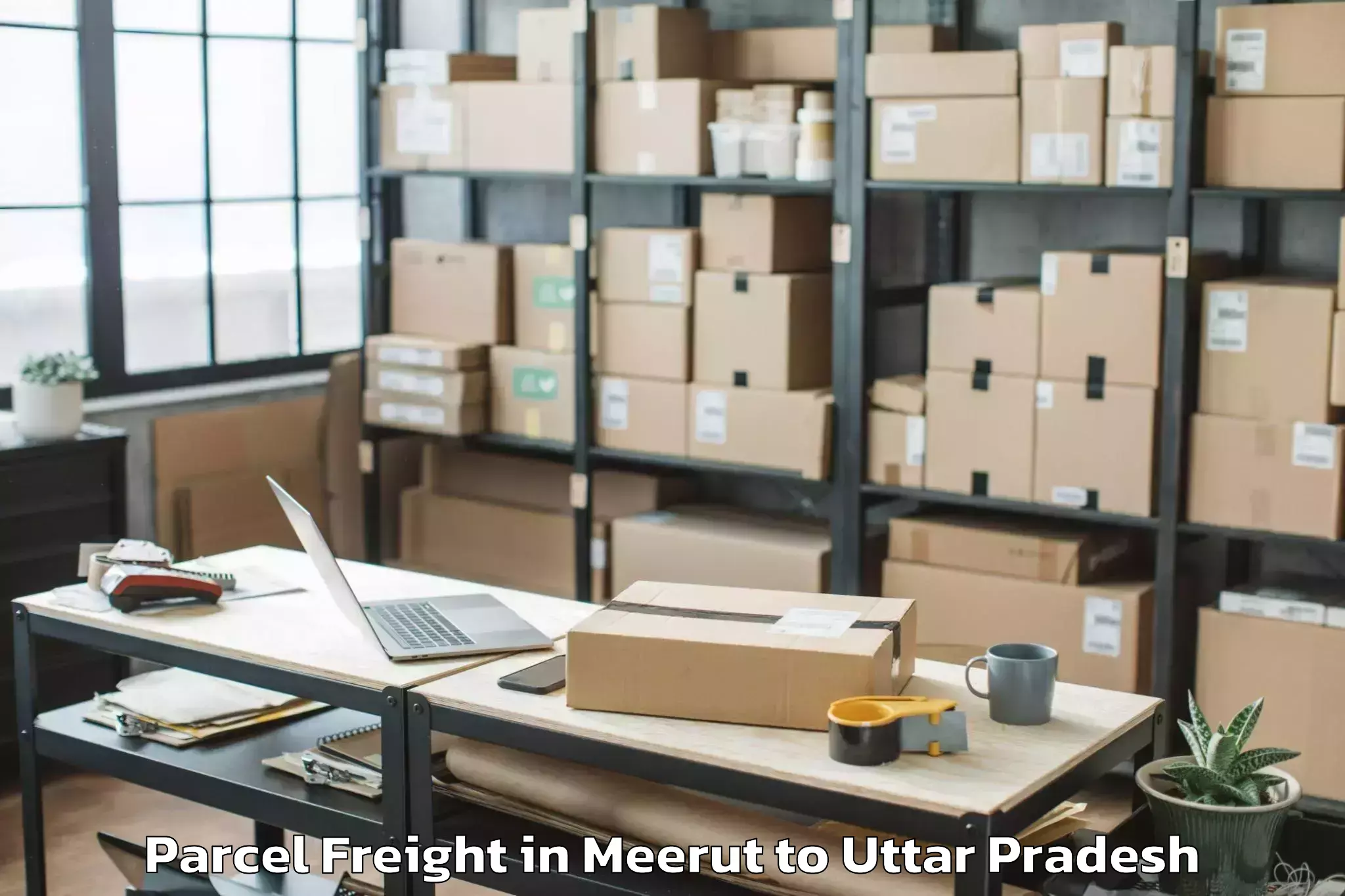 Leading Meerut to Samthar Parcel Freight Provider